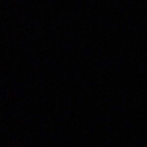 Meet your Posher, Jackson